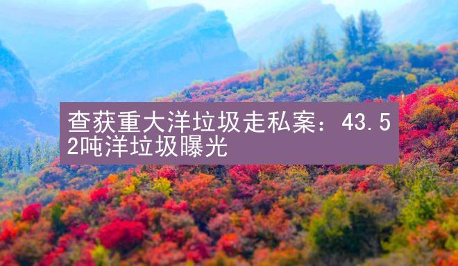 查获重大洋垃圾走私案：43.52吨洋垃圾曝光